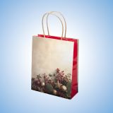 Коледна радост,  S1-469 - 20+8/25 см 0